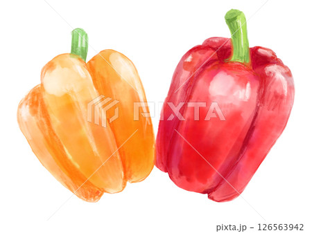 新鮮で美味しそうなパプリカの水彩イラスト 126563942