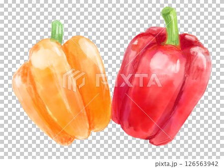 新鮮で美味しそうなパプリカの水彩イラスト 126563942