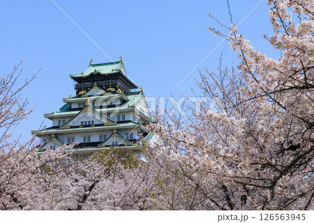 春の大阪城と満開の桜 (大阪府大阪市中央区) 春の大阪城と満開の桜 (大阪府大阪市中央区) 126563945