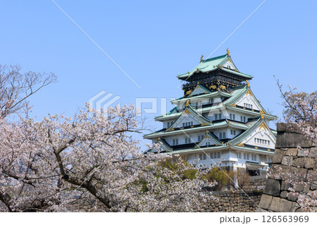春の大阪城と満開の桜 (大阪府大阪市中央区) 春の大阪城と満開の桜 (大阪府大阪市中央区) 126563969
