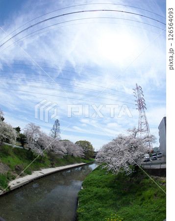 電線の下から見た春の川原 126564093