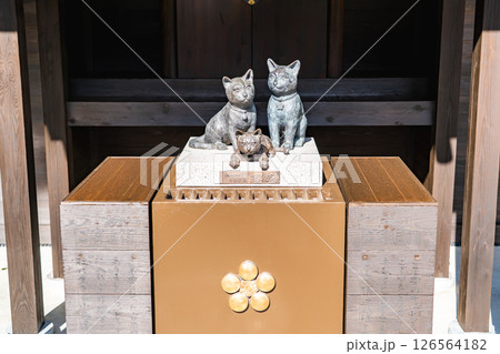 上宮天満宮　守護天神（猫神社）　日本で二番目に古い天満宮　大阪府高槻市天神町 126564182
