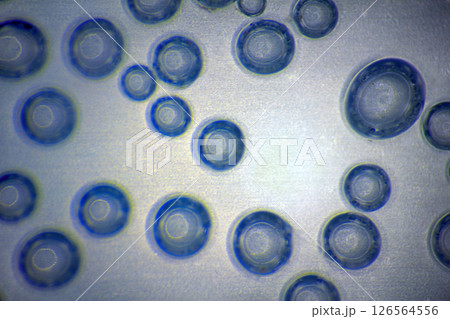 Harmonic backgrounds. Air bubbles in water (bleb) on bright, smooth surface Harmonic backgrounds. Air bubbles in water (bleb) on bright, smooth surface 126564556