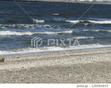検見川浜の海岸の白波 126564852