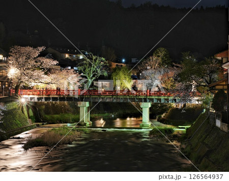 飛騨高山「中橋」の美しい夜桜 126564937