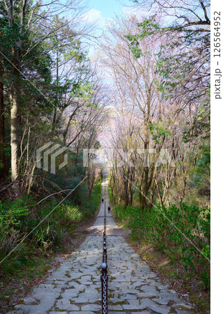 二上山の石段 二上山の石段 126564952