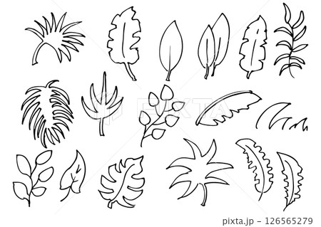 手書きの木の葉や草のボタニカル線画のイラスト ベクター 手書きの木の葉や草のボタニカル線画のイラスト ベクター 126565279