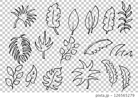 手繪植物線描圖解樹葉和草向量 手繪植物線描圖解樹葉和草向量 126565279