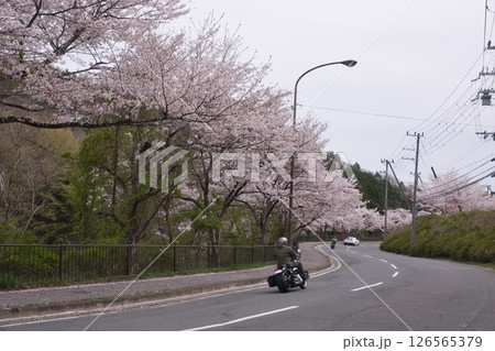 京都 鞍馬街道をツーリング3 京都 鞍馬街道をツーリング3 126565379