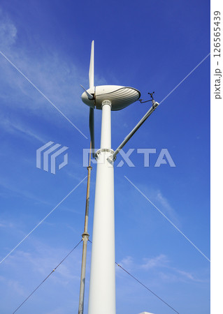 風流鯨（風力発電・風の見える丘公園） 126565439