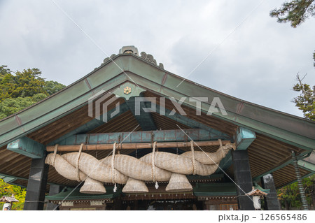 【出雲大社　神楽殿】 126565486