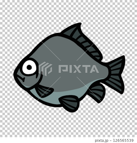 シンプルなフナのイラスト 126565539