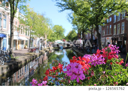 オランダ　デルフト　旧市街の花壇 126565762
