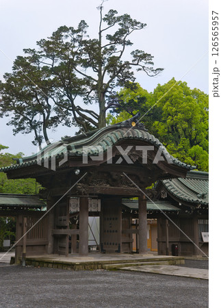 三嶋大社神門 126565957