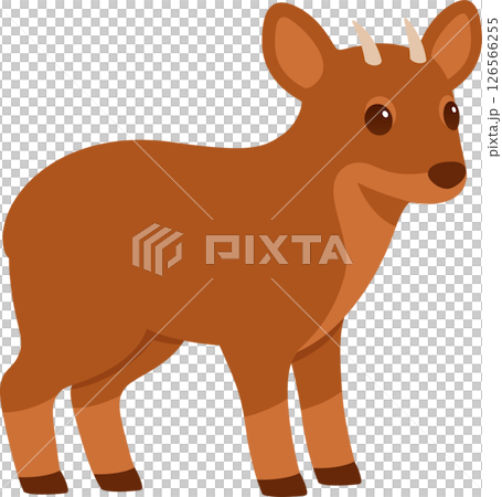 Cartoon Pudu deer vector drawing 126566255