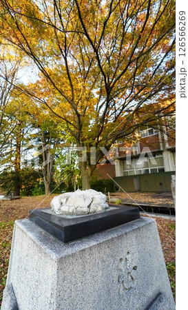金沢美術工芸大学（旧校舎） 126566269