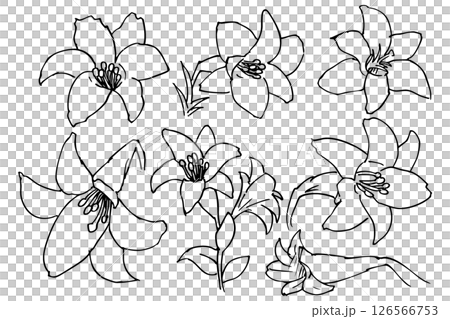 シンプルなゆりの花のイラスト素材 ベクター シンプルなゆりの花のイラスト素材 ベクター 126566753