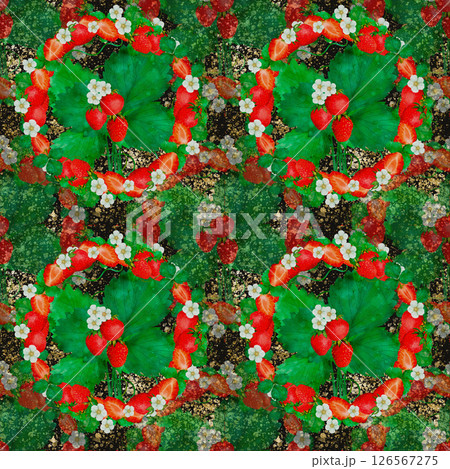 A Vibrant Strawberry Floral Pattern Design That Radiates Cheerful Energy and Joy 126567275