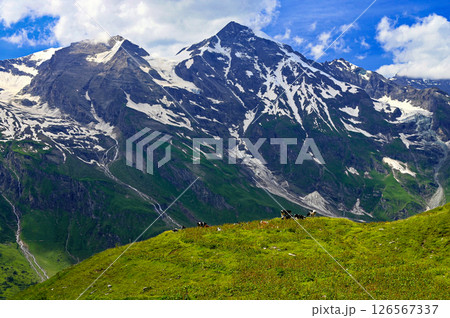 Grossglockner high mountain road in Austria. Surrounded by mountains and green forests. Landscape with nature in the Alps. A great place for sports, recreation and outdoor activity holidays Grossglockner high mountain road in Austria. Surrounded by mountains and green forests. Landscape with nature in the Alps. A great place for sports, recreation and outdoor activity holidays 126567337