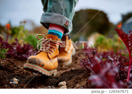 Child walking in muddy vegetable garden wearing colorful socks and boots 126567671