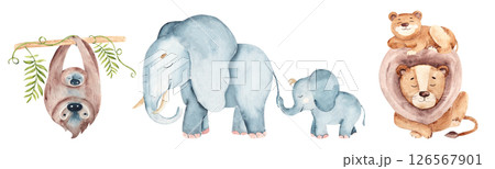 Wild animals families compositions set. Cute elephant, lion and sloth baby and parents. Watercolor hand drawn illustrations isolated on white background. For kid cards and posters, clothes prints. 126567901