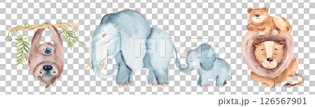 Wild animals families compositions set. Cute elephant, lion and sloth baby and parents. Watercolor hand drawn illustrations isolated on white background. For kid cards and posters, clothes prints. 126567901