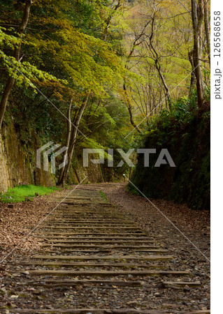 旧福知山線の廃線跡 旧福知山線の廃線跡 126568658