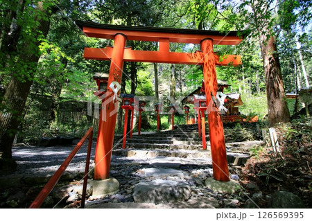 京都・鴨川の水源『貴船川』沿いに建つ… 貴船神社・中社【結社】 京都・鴨川の水源『貴船川』沿いに建つ… 貴船神社・中社【結社】 126569395