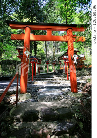 京都・鴨川の水源『貴船川』沿いに建つ… 貴船神社・中社【結社】 126569396