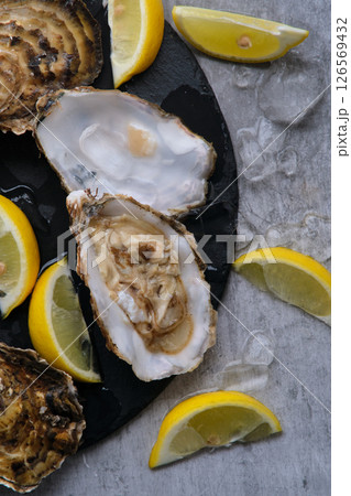 open oysters and lemons on the table open oysters and lemons on the table 126569432
