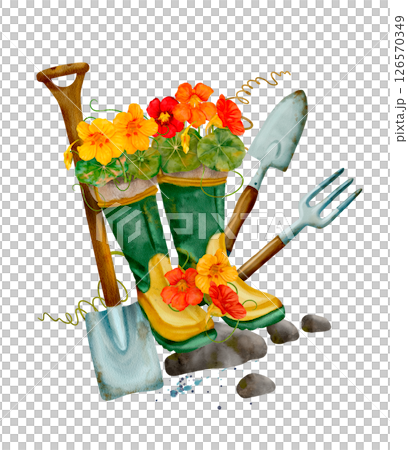 Gardening Tools and Beautiful Nasturtium Flowers in Stylish Gardening Boots 126570349
