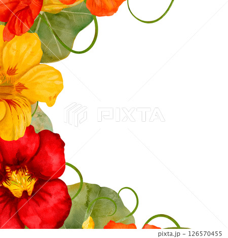 Watercolor Nasturtium Floral Border Featuring Lively Nasturtiums and Bright Flowers 126570455