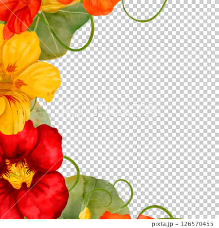 Watercolor Nasturtium Floral Border Featuring Lively Nasturtiums and Bright Flowers 126570455