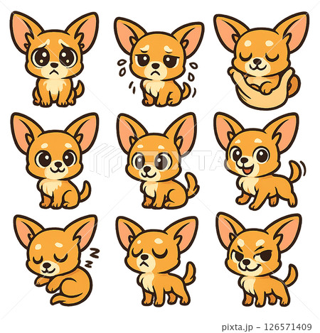 かわいいチワワのセット かわいいチワワのセット 126571409