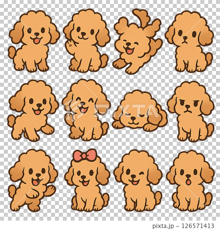 Chibi 玩具貴賓犬 126571413