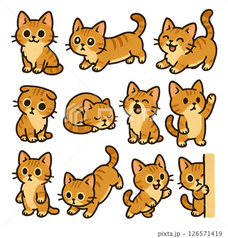 短足ミンクスキャット 126571419