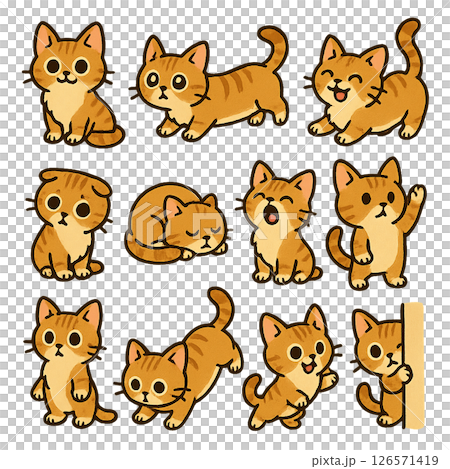短足ミンクスキャット 126571419