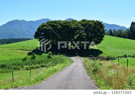 月山高原牧場 最高の眺め 山形県 126571505