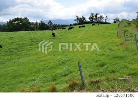 月山高原牧場 最高の眺め 山形県 月山高原牧場 最高の眺め 山形県 126571506