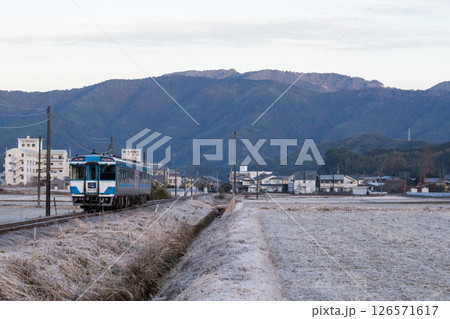 【牟岐線】霜が降りる田園区間を通過する特急列車 126571617