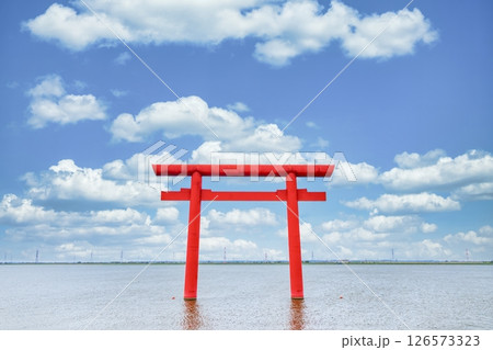 「茨城県」鹿島神宮一之鳥居の風景 空合成 鹿嶋市 「茨城県」鹿島神宮一之鳥居の風景 空合成 鹿嶋市 126573323