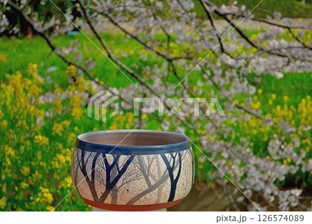 菜の花と桜 菜の花と桜 126574089