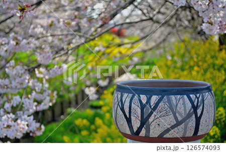 桜の枝に包まれて 126574093