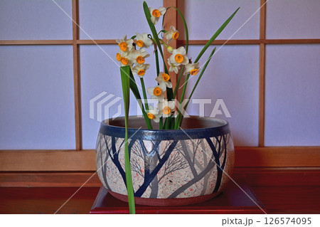 深鉢に花を生けてみました 126574095