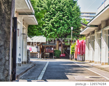 東京散歩物語-初夏の隅田川沿い 東京散歩物語-初夏の隅田川沿い 126574284