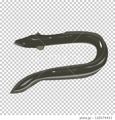 うなぎのイラスト 126574431