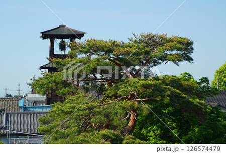 《埼玉県川越市》時の鐘と大きな松の木 《埼玉県川越市》時の鐘と大きな松の木 126574479