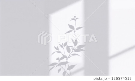 B/W shadows on white wall, soft light highlights calm, modern minimalism, timeless style. B/W shadows on white wall, soft light highlights calm, modern minimalism, timeless style. 126574515