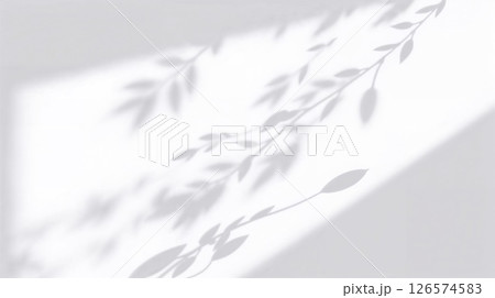Grayscale leaf shadows on wall, soft light creates calm, natural, timeless aesthetic. Grayscale leaf shadows on wall, soft light creates calm, natural, timeless aesthetic. 126574583