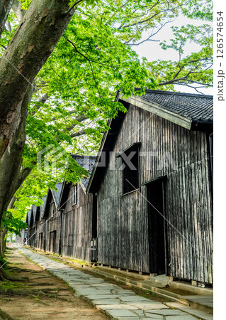 山形 山居倉庫　ケヤキ並木と倉庫群 126574654